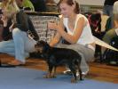 P1040059.jpg