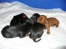 foto12.jpg